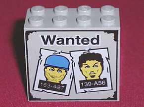Brick 2 x 4 x 3 with Black 'Wanted' and White Posters Pattern