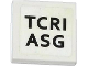 Part No: 3068pb0829  Name: Tile 2 x 2 with 'TCRI' and 'ASG' Pattern (Sticker) - Set 79104