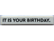 Part No: 6636pb315  Name: Tile 1 x 6 with 'IT IS YOUR BIRTHDAY.' Pattern (Sticker) - Set 21336