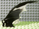 Part No: 55706pb02  Name: Dragon Wing 8 x 10, Glow In Dark Opaque Trailing Edge Pattern