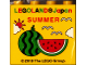 Part No: 30144pb246  Name: Brick 2 x 4 x 3 with LEGOLAND Japan, 'SUMMER', Sun, Clouds, Birds, and Watermelon Pattern
