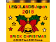 Part No: 30144pb257  Name: Brick 2 x 4 x 3 with LEGOLAND Japan, '2018 BRICK CHRISTMAS', Stars, Holly Leaves, Ribbon, and Bell Pattern