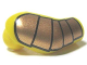 Part No: 982pb006  Name: Arm, Right with Gold Armor Pattern