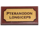 Part No: 87079pb0653  Name: Tile 2 x 4 with 'PTERANODON LONGICEPS' Pattern (Sticker) - Set 21320