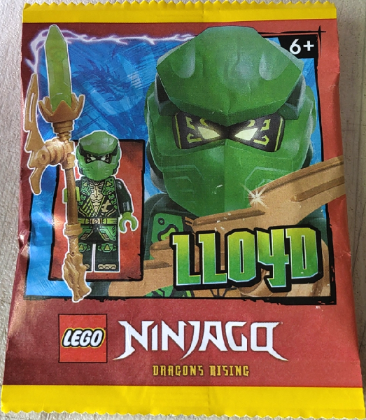 Lloyd paper bag #4 : Set 892508-1 | BrickLink