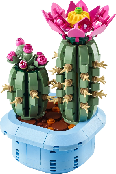 Flowering Cactus