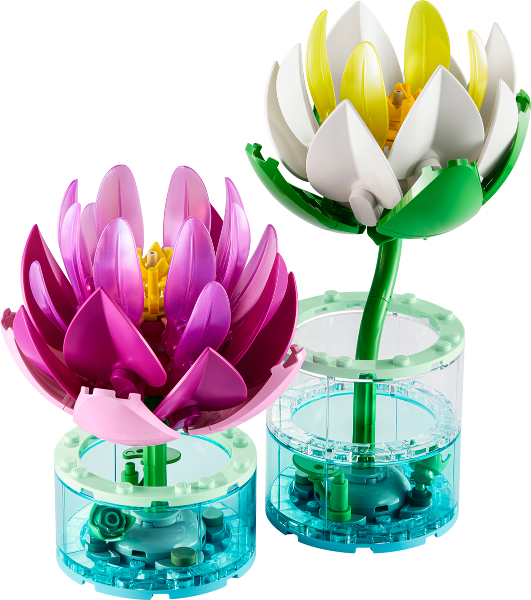 11511 Water Lilies