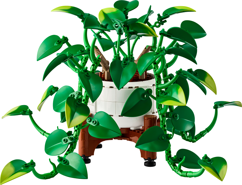 11512 Hanging Golden Pothos