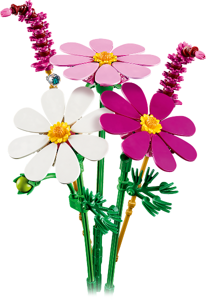 11514 Cosmos Flowers