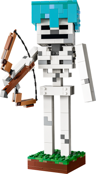 21594 The Skeleton