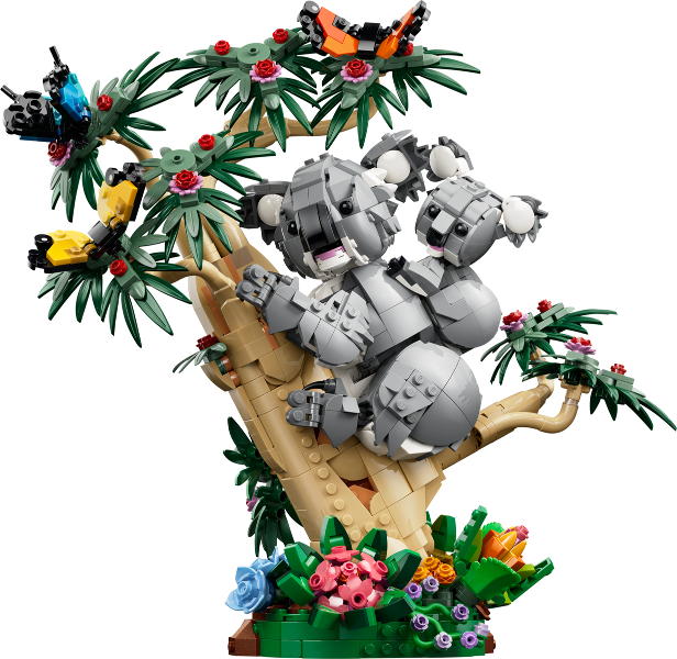 31388 Family of Koalas