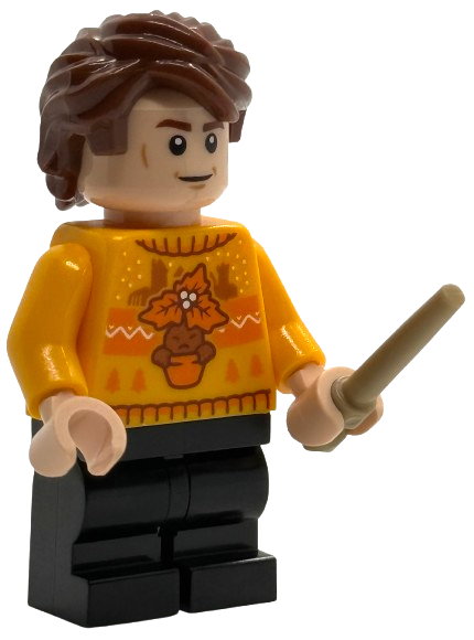 Advent Calendar 2025, Harry Potter (Day 22) - Cedric Diggory