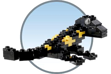 LEGO Store Grand Opening Exclusive Set, Easton Town Center, Columbus, OH