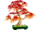 Set No: 10348  Name: Japanese Maple Tree
