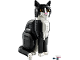 Set No: 21349  Name: Tuxedo Cat (Jun 1)