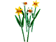 Set No: 40646  Name: Daffodils