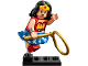 Set No: colsh  Name: Wonder Woman, DC Super Heroes (Complete Set with Stand and Accessories)