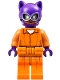 Minifig No: sh0338  Name: Catwoman - Orange Prison Jumpsuit