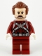 Minifig No: sh0676  Name: Red Guardian