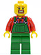 Minifig No: tls082  Name: LEGO Brand Store Male, Overalls Farmer Green, Brown Moustache and Goatee, No Headgear (no specific back printing) {Glasgow}