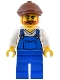 Minifig No: twn492  Name: Natural History Museum Window Washer - Male, Blue Overalls over V-Neck Shirt, Blue Legs, Reddish Brown Flat Cap, Beard