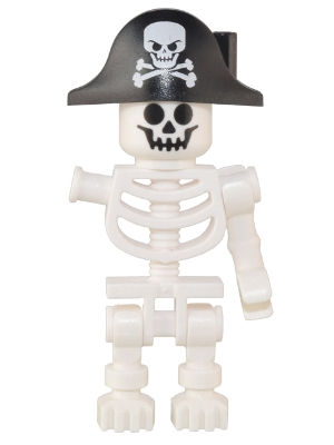 Skeleton with One Arm and Pirate Hat