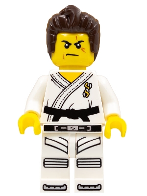 Warrior - Male, Karate Dress with Black Belt, Dark Brown Hair, Scarred Eye