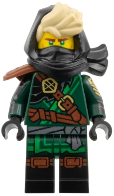 Mysterious Ronin