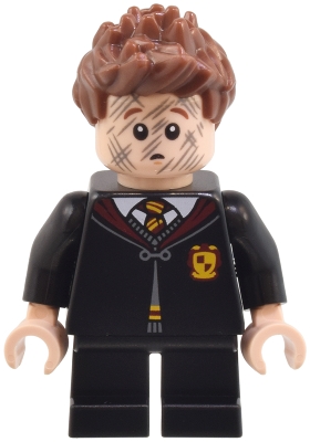 Seamus Finnigan - Gryffindor Robe Clasped, Black Short Legs