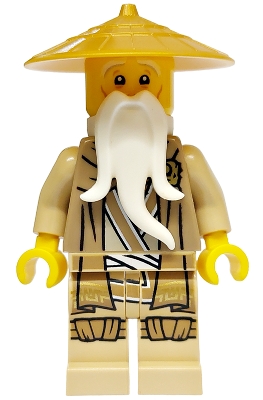 Master Wu, Dark Tan Robe