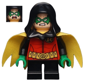 Robin with Black Hood