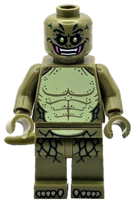 The Lizard