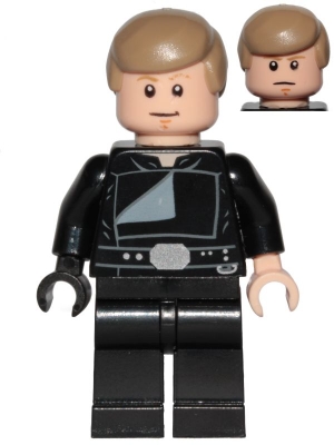 Luke Skywalker (Jedi Master, Endor, Dark Tan Hair, Stern / Smile)