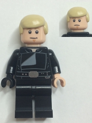 Luke Skywalker (Jedi Master, Endor, Tan Hair, Stern / Smile)