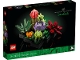 Lot ID: 398791133  Original Box No: 10309  Name: Succulents