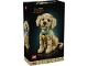Lot ID: 523219847  Original Box No: 11384  Name: Golden Retriever Puppy