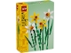 Lot ID: 405911445  Original Box No: 40747  Name: Daffodils