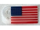Lot ID: 305967251  Part No: 10294pls01c  Name: Plastic Part for Set 10294 - Flag with United States Circa 1912 Pattern