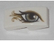 Part No: 11477pb051R  Name: Slope, Curved 2 x 1 x 2/3 with Metallic Light Blue Eye with Gold Highlights Pattern Model Right Side