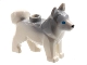 Lot ID: 401369117  Part No: 16606pb003  Name: Dog, Husky with Marbled Light Bluish Gray Ears and Back and Printed Blue Eyes, Black Nose, White Face and Ears Pattern