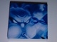 Part No: 3068pb0575  Name: Tile 2 x 2 with Ninjago (Jay) Pattern 1