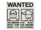 Part No: 3068pb0903  Name: Tile 2 x 2 with 'WANTED' Minifigure Front and Side Mugshots Poster Pattern