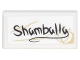 Part No: 3069pb0513  Name: Tile 1 x 2 with Handwritten 'Shamballa' and Coffee Stains Pattern (Sticker) - Set 76060