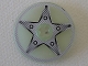 Part No: 2958pb034  Name: Technic, Disk 3 x 3 with 5-Bolt Star Pattern (Sticker) - Set 8647