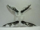 Part No: 10277  Name: Minifigure Wings with SW Geonosian Zombie Pattern