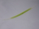 Lot ID: 399058447  Part No: 27328pb02  Name: Hose, Flexible Ribbed with 8mm Ends 10L / 8.0cm with Lime Center Pattern