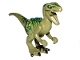 Part No: raptor04 Name: Dinosaur Raptor / Velociraptor with Dark Green Back, Lime Markings and Black Claws (Jurassic World Charlie) Part No: raptor04 Name: Dinosaur Raptor / Velociraptor with Dark Green Back, Lime Markings and Black Claws (Jurassic World Charlie)