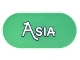 Part No: 66857pb016  Name: Tile, Round 2 x 4 Oval with Black Outline 'ASIA' on Green Background Pattern