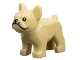 Part No: 29602pb01  Name: Dog, French Bulldog with Black Eyes, Nose, Mouth, and Whiskers, White Spot on Forehead Pattern
