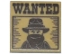 Part No: 3068pb0901  Name: Tile 2 x 2 with 'WANTED' Western Bandit Poster Pattern